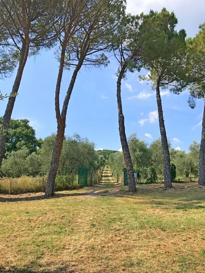 Ferienhaus Il-Pino Villa Roccastrada Dış mekan fotoğraf